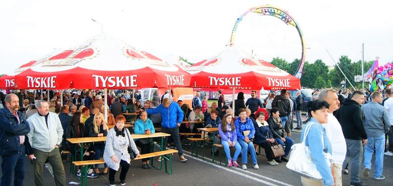 dni ozorków