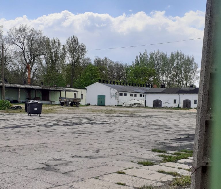 gs grabów
