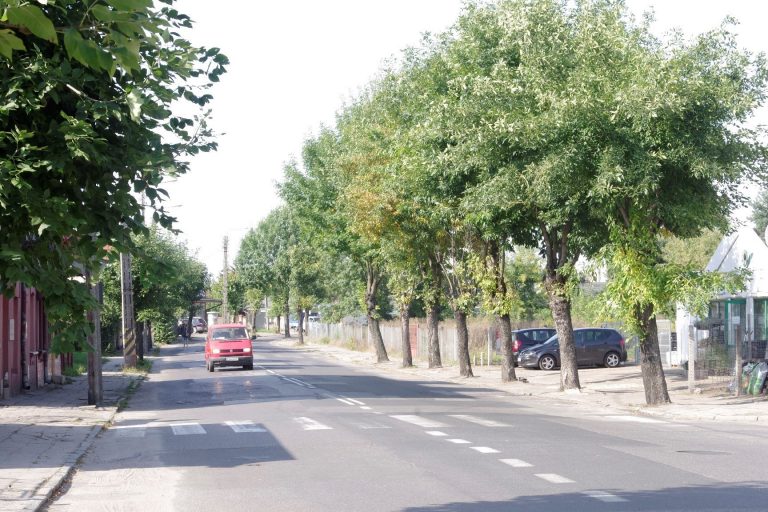 listopadowa w ozorkowie