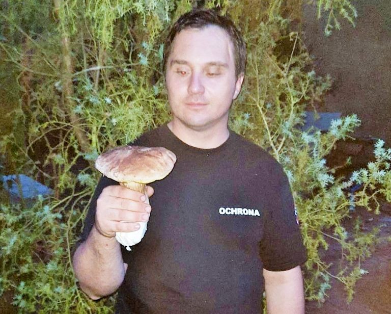 ale grzyby