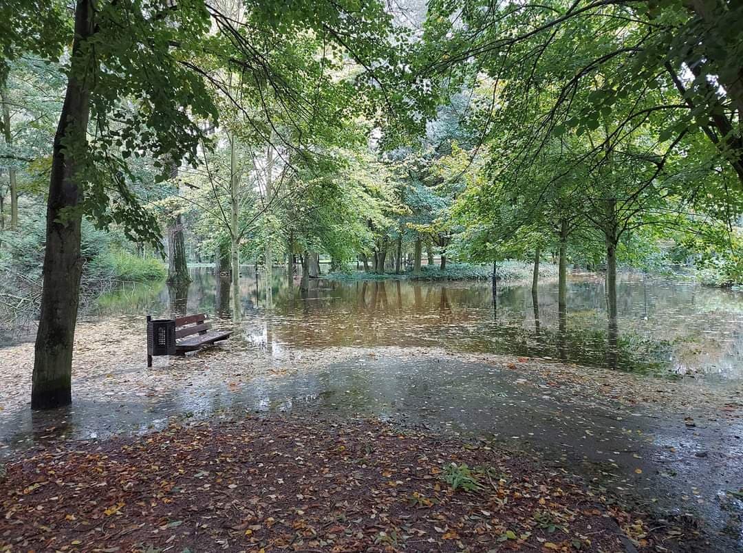 powódź w parku