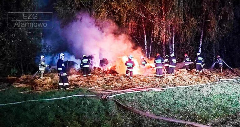 pożar blisko lasu