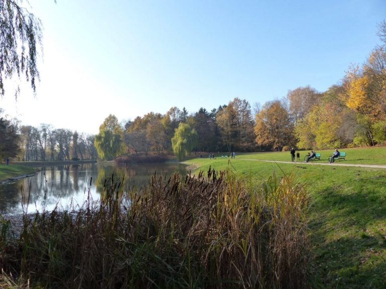 park na zdrowiu