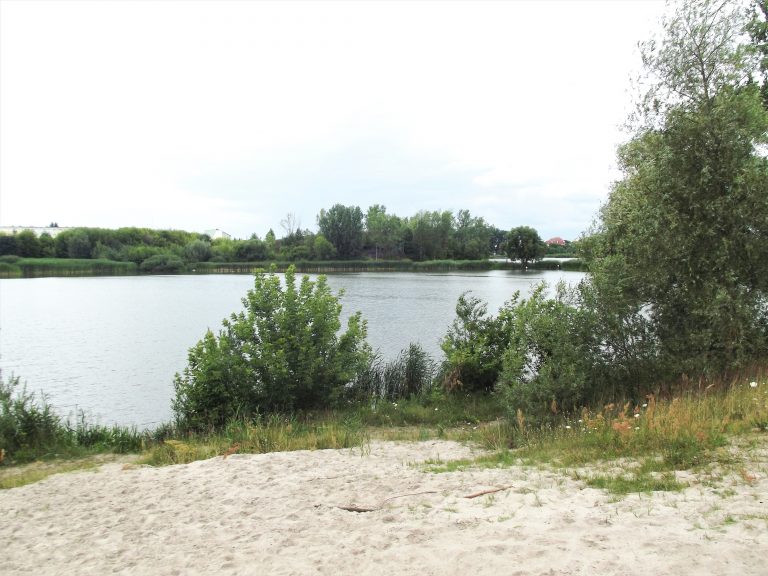 plaża w łęczycy