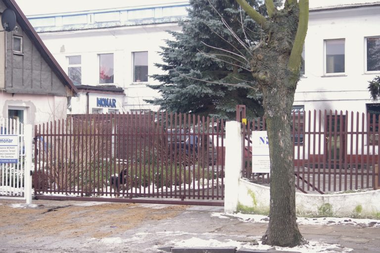 ogień w monarze