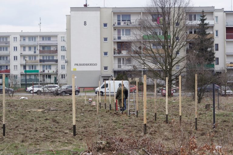 market ozorków