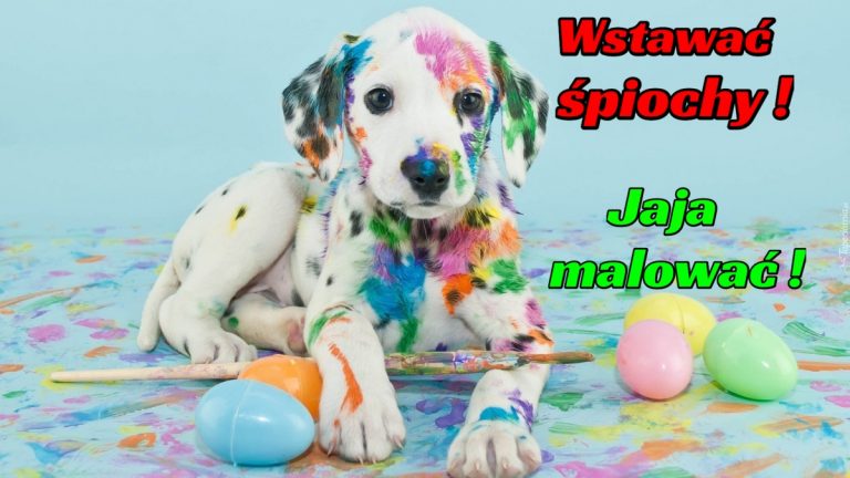 uśmiechnij się