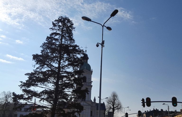 monitoring ozorków