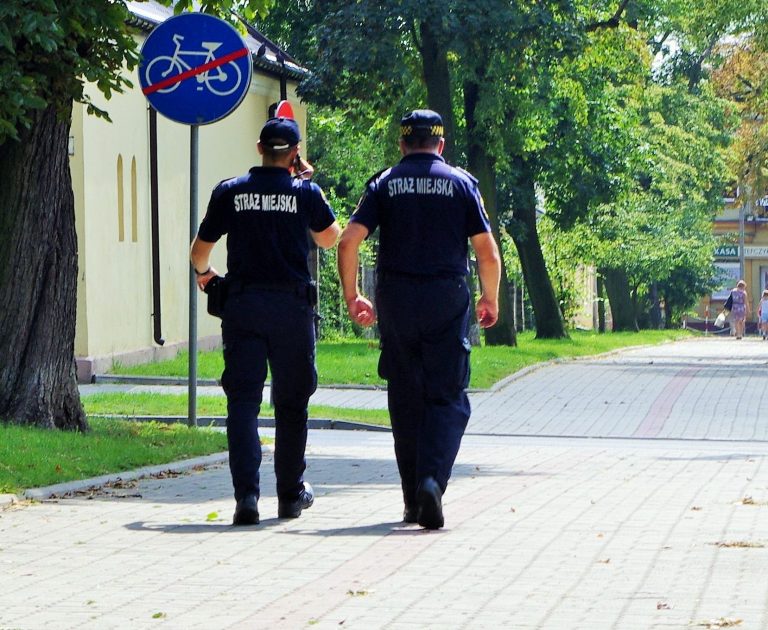 strażnicy kontrolują