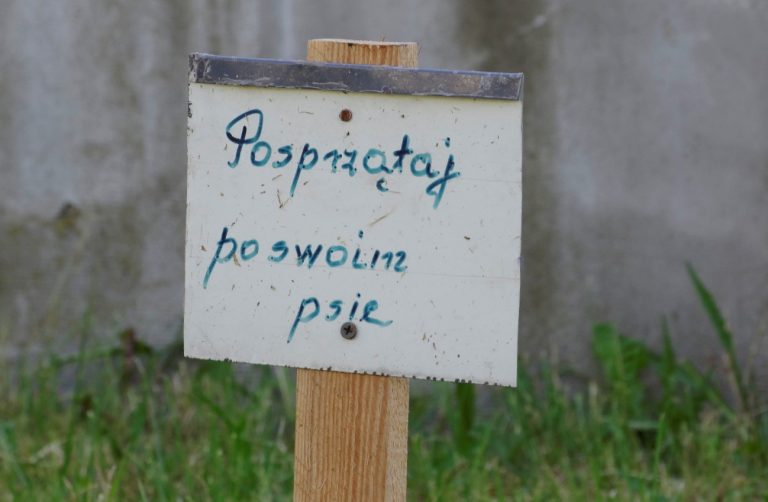 posprzątaj po psie