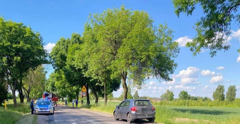 śmiertelne potrącenie