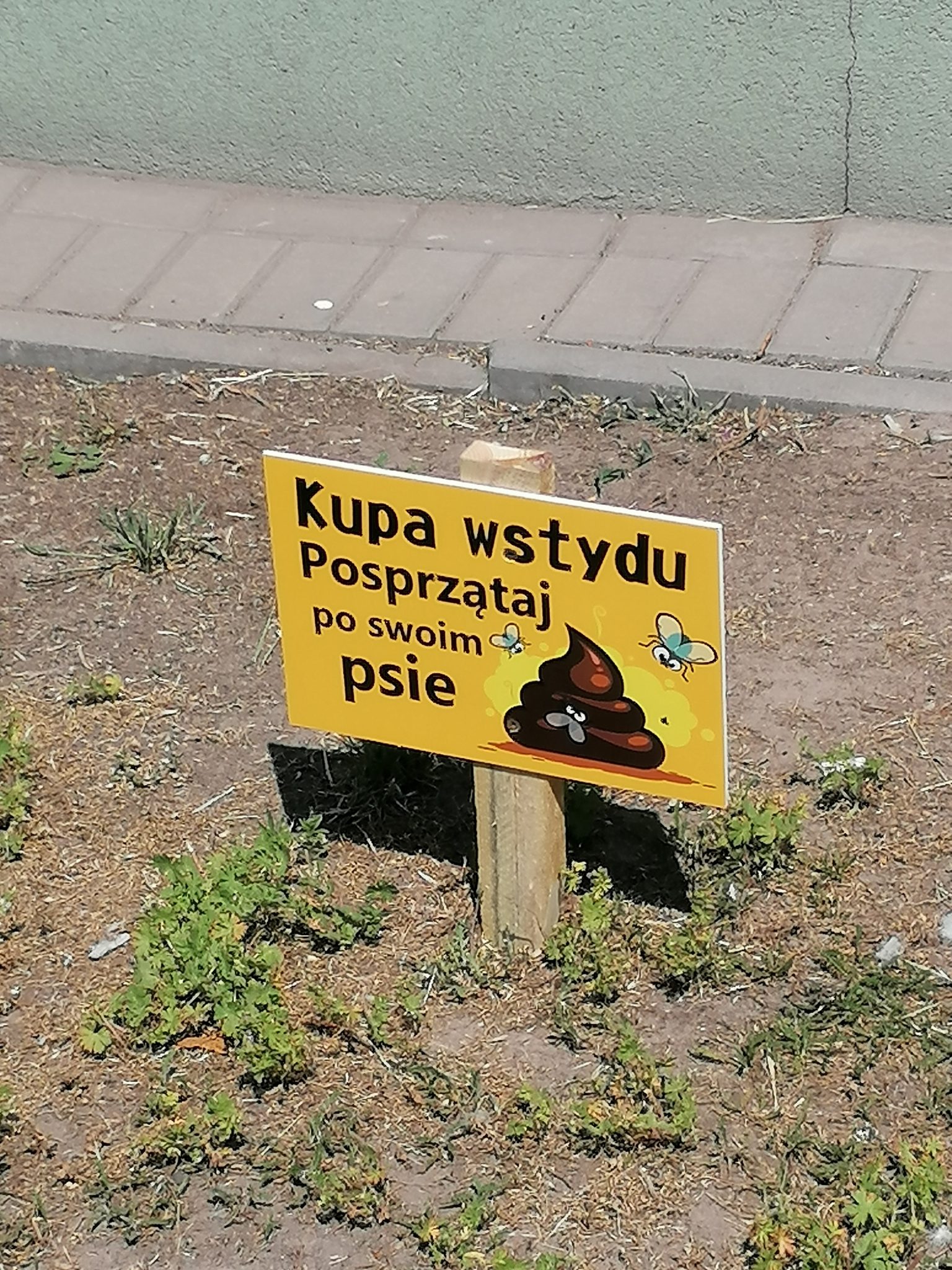kupa wstydu