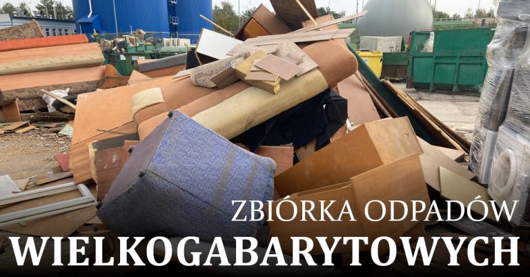 gabaryty zadzim
