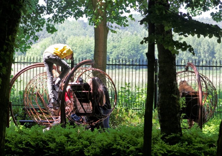 jak w zoo