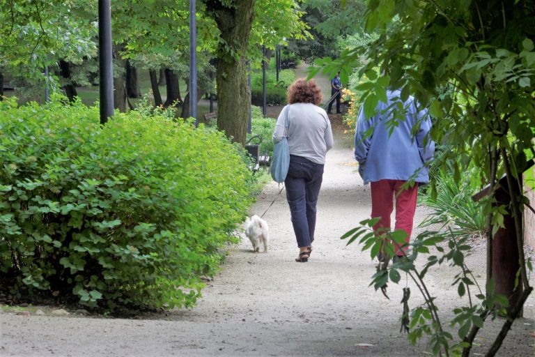 zakazy park poddębice