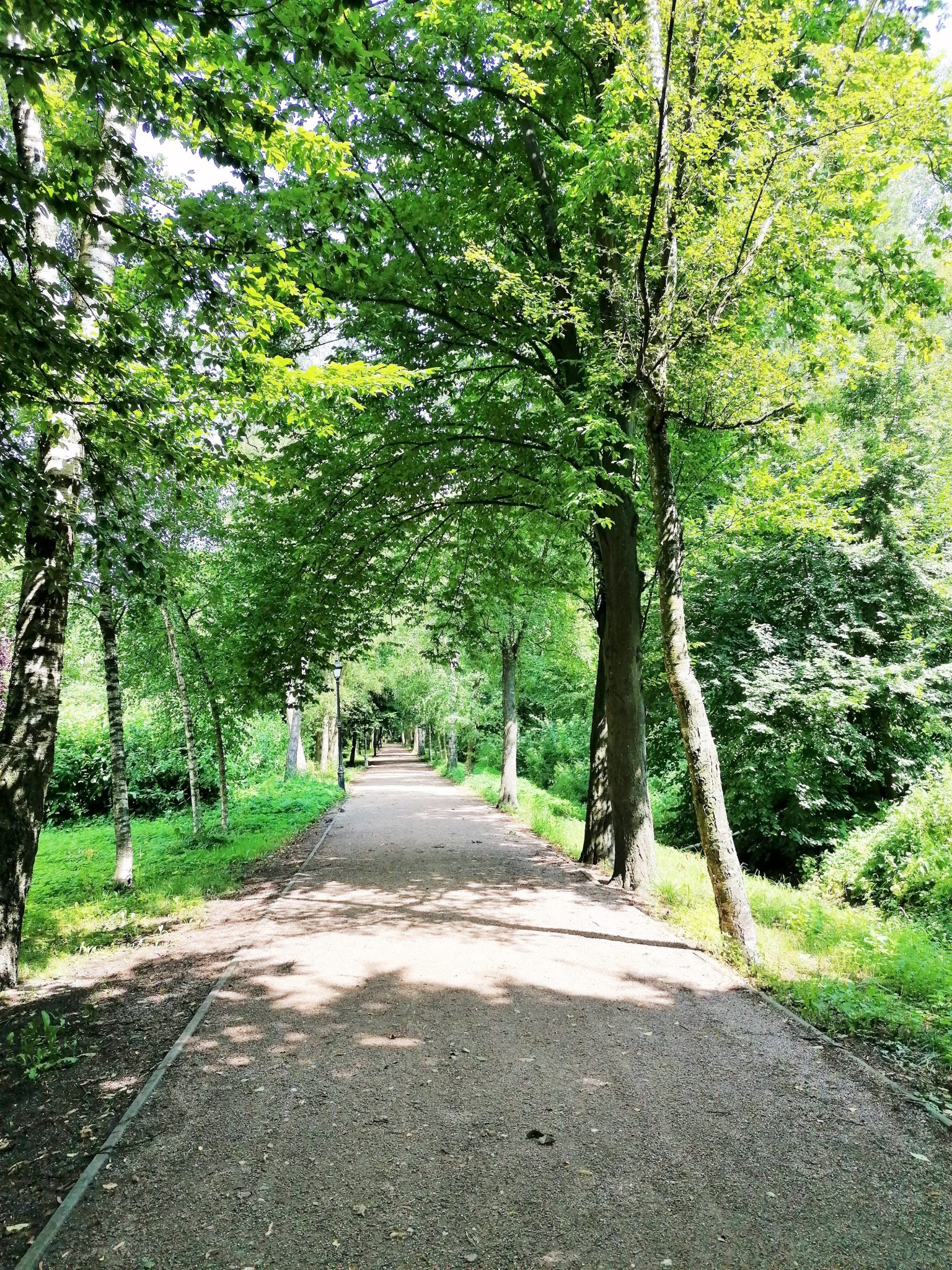 łęczyca park