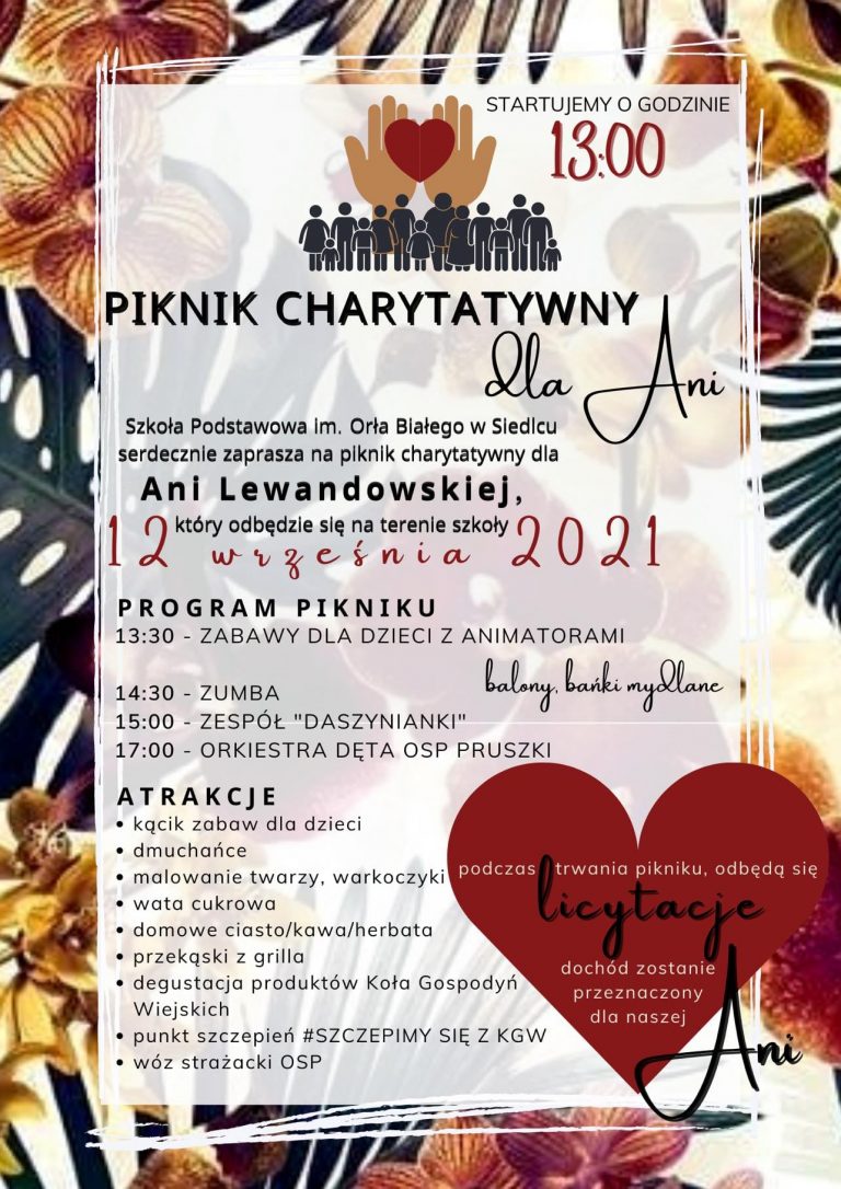 piknik dla ani