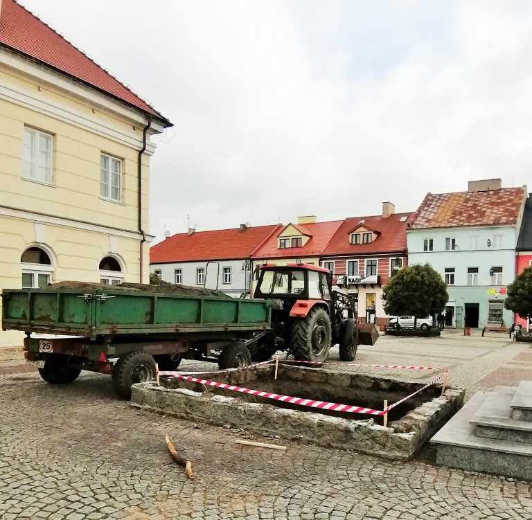 łęczyca jodła