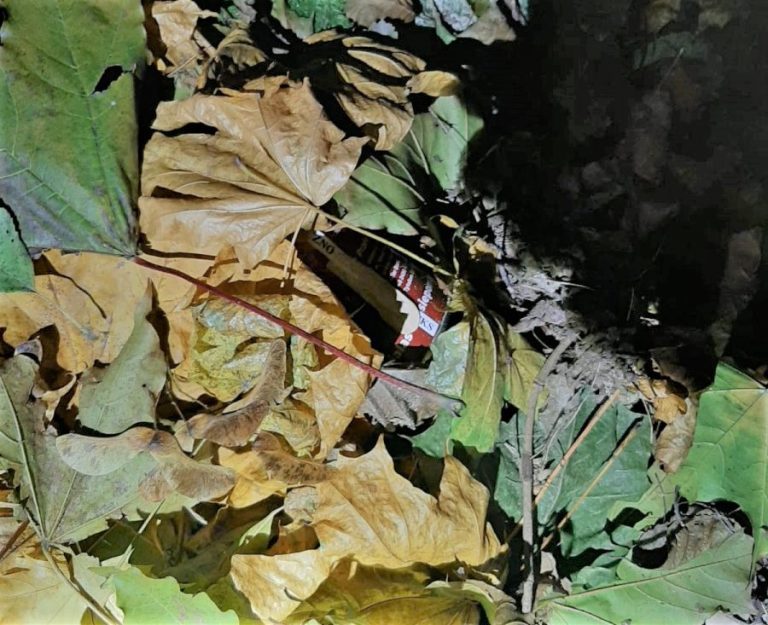kradzież