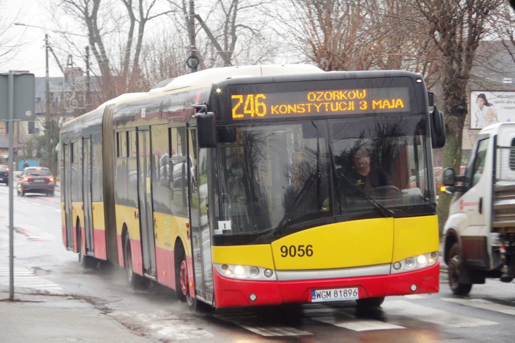 autobus z46