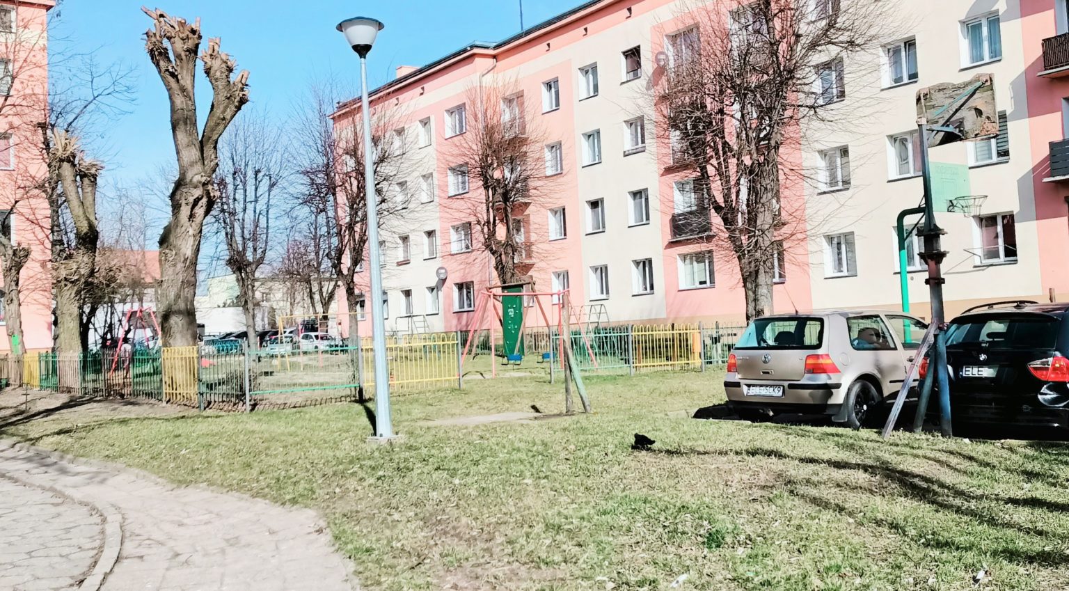 belwederska