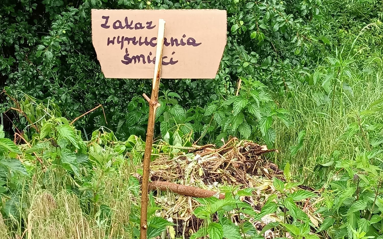 zakaz śmieci