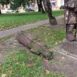 upadła królowa