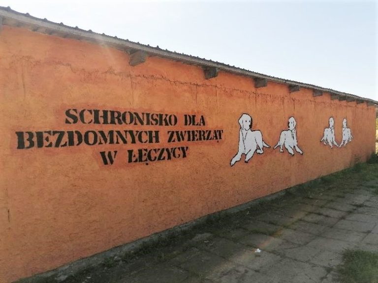 schronisko w łęczycy