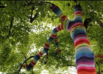 sweterek dla drzewa