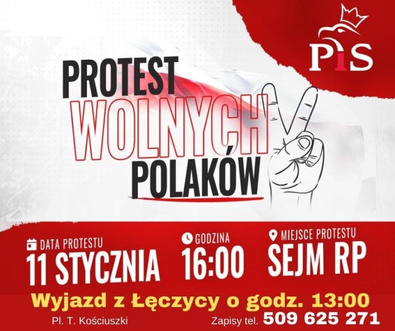 protest wolnych polaków