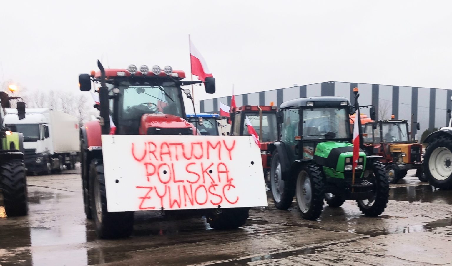 protest rolników