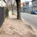 chodnik łęczyca