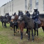 policja na koń