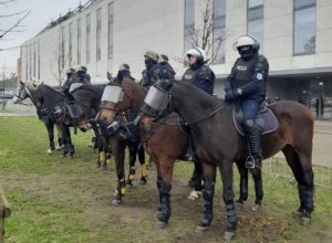 policja na koń