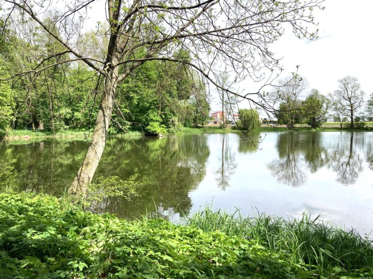 park w leśmierzu