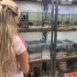 zoologiczny