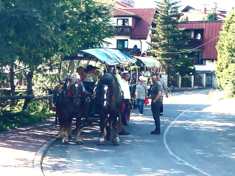 konie ciągną turystów