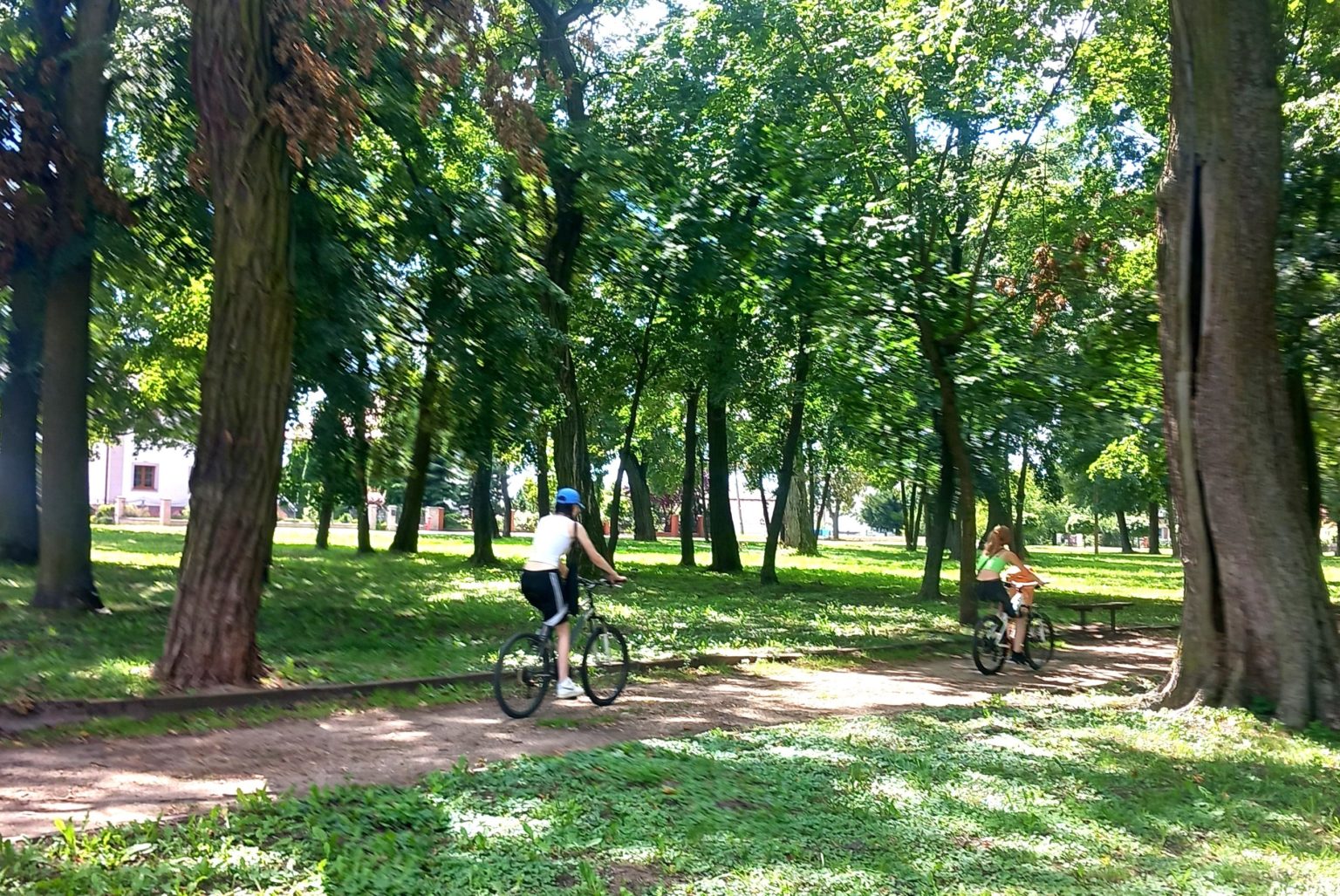 park grabów