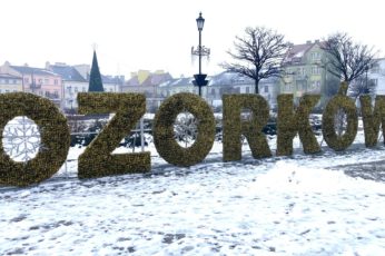 ozorków