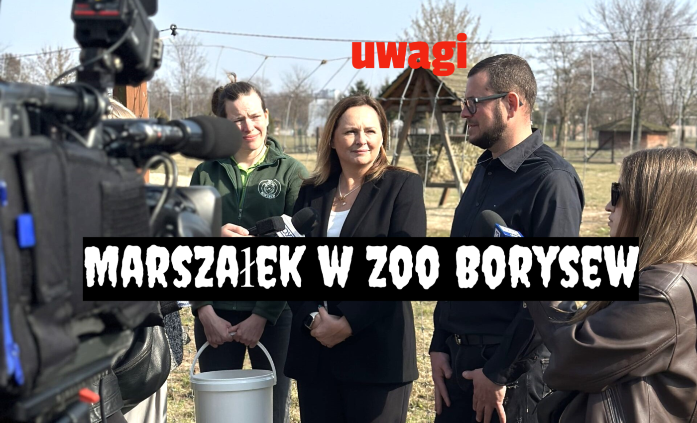 marszałek