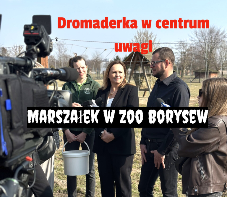 marszałek