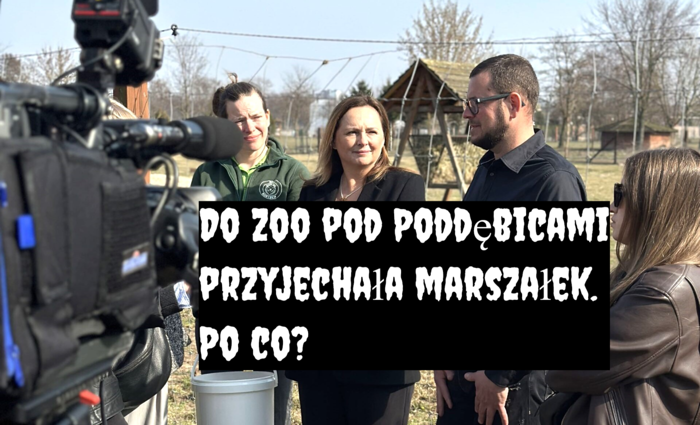 marszałek