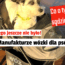 wózki dla psów