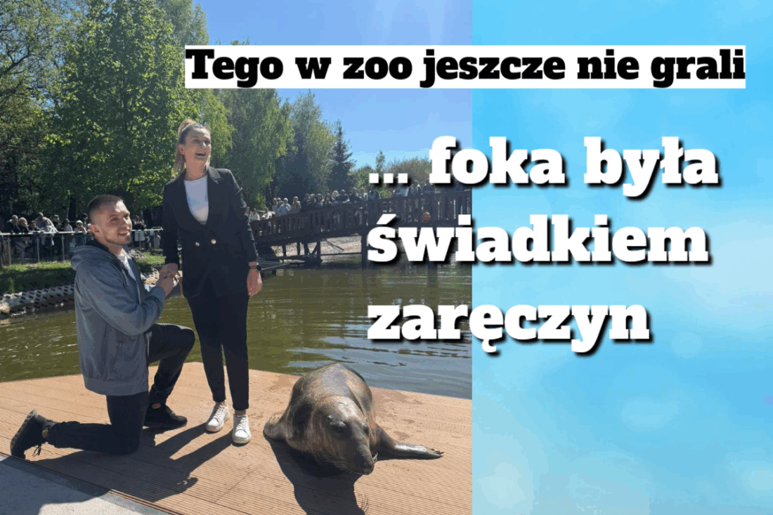foka