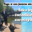 foka