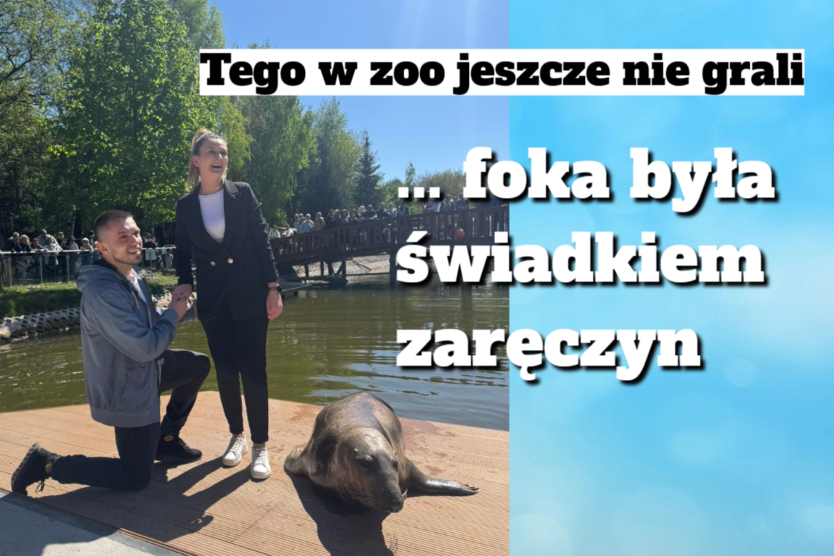 foka