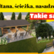 inwestycje