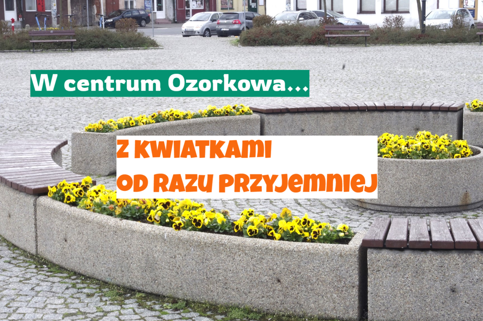 kwiatki