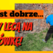 zamek się sypie