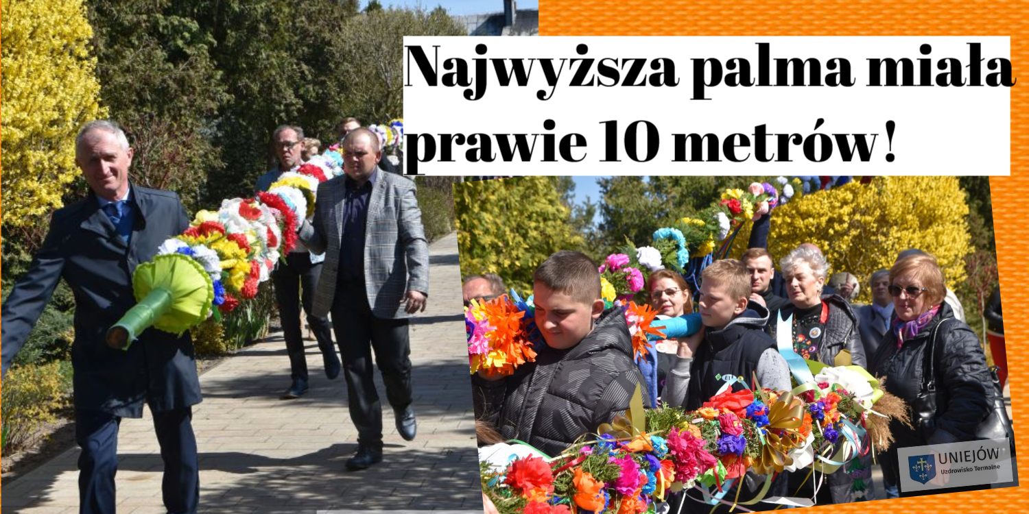 palma wilamów